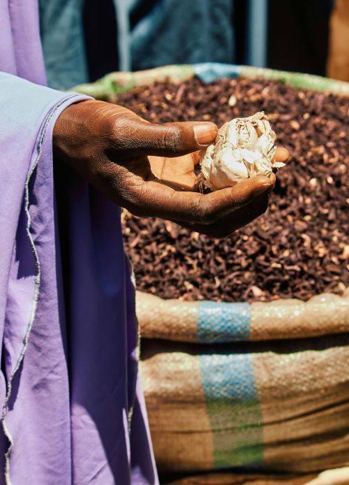Hand holding garlic bulb in a vibrant African market filled with dried spices.