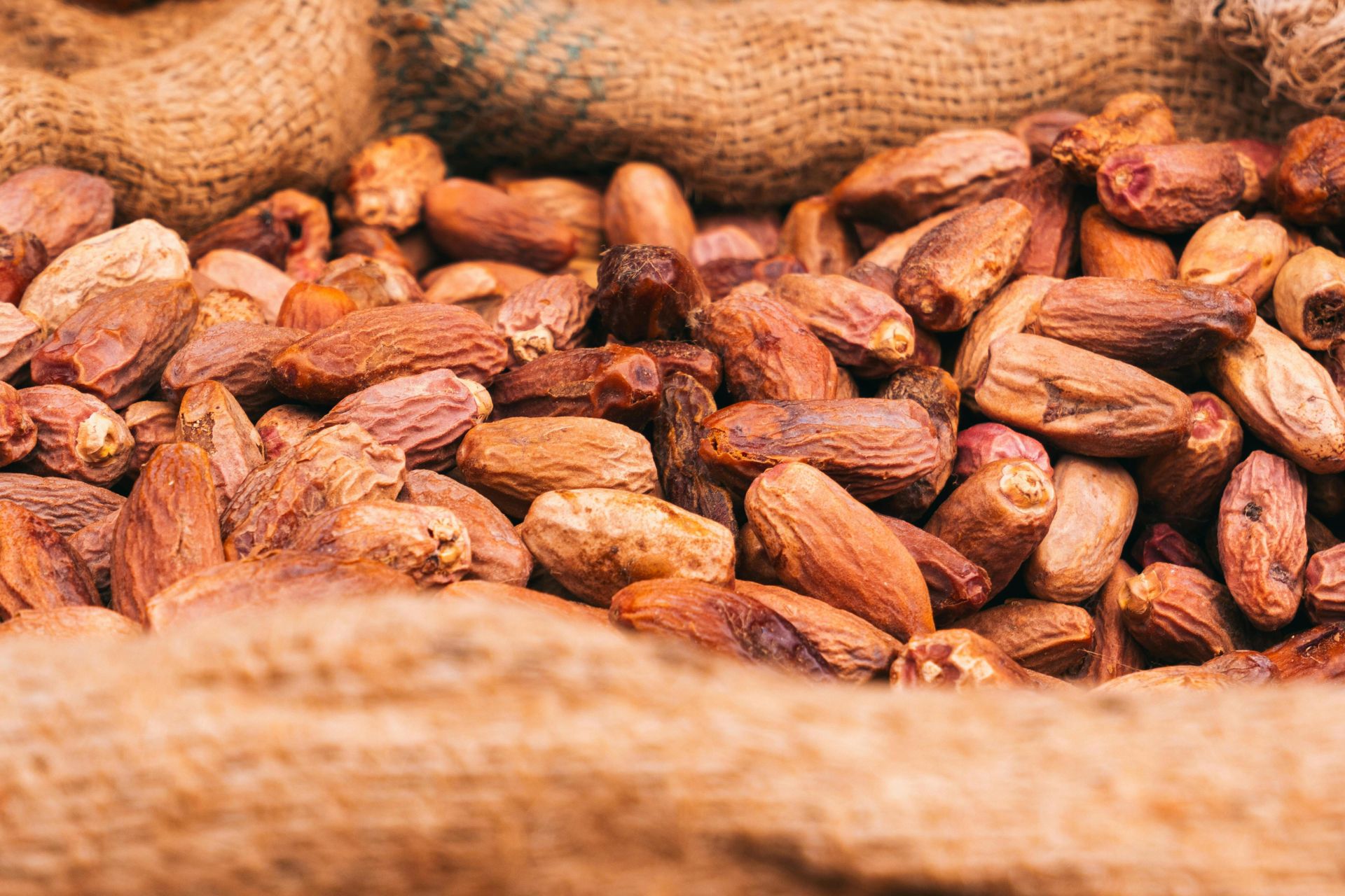 Close-up of natural dried dates on burlap sack. Perfect snack export from Jos, Nigeria.