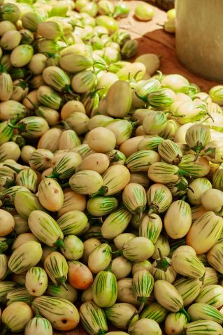 Vibrant cluster of striped African eggplants displayed at Zaria, Nigeria's market, basking in sunlight.